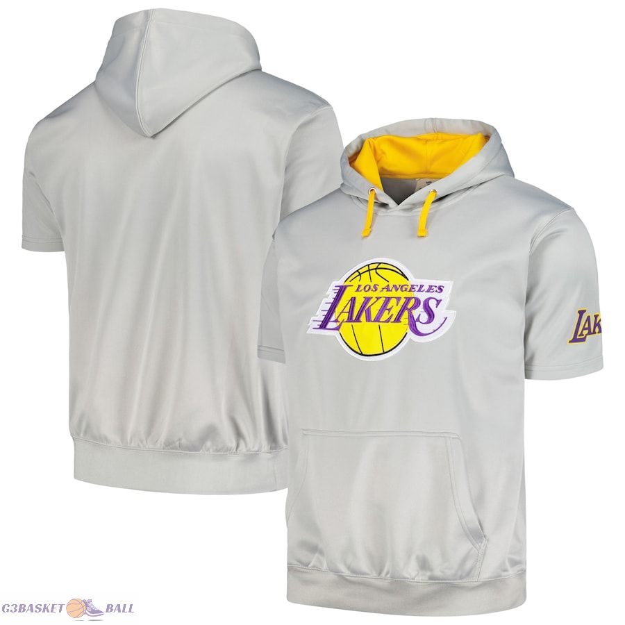 Men's Los Angeles Lakers Fanatics Silver Big & Tall Logo Pullover Hoodie