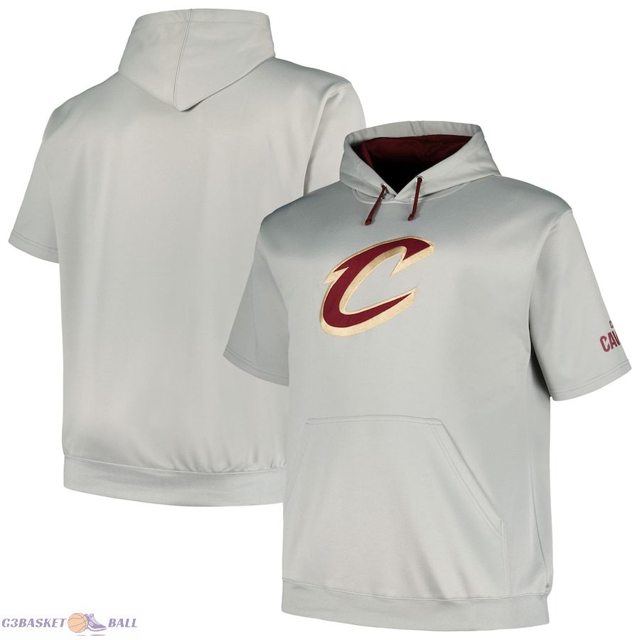 Men's Cleveland Cavaliers Fanatics Silver Big & Tall Logo Pullover Hoodie