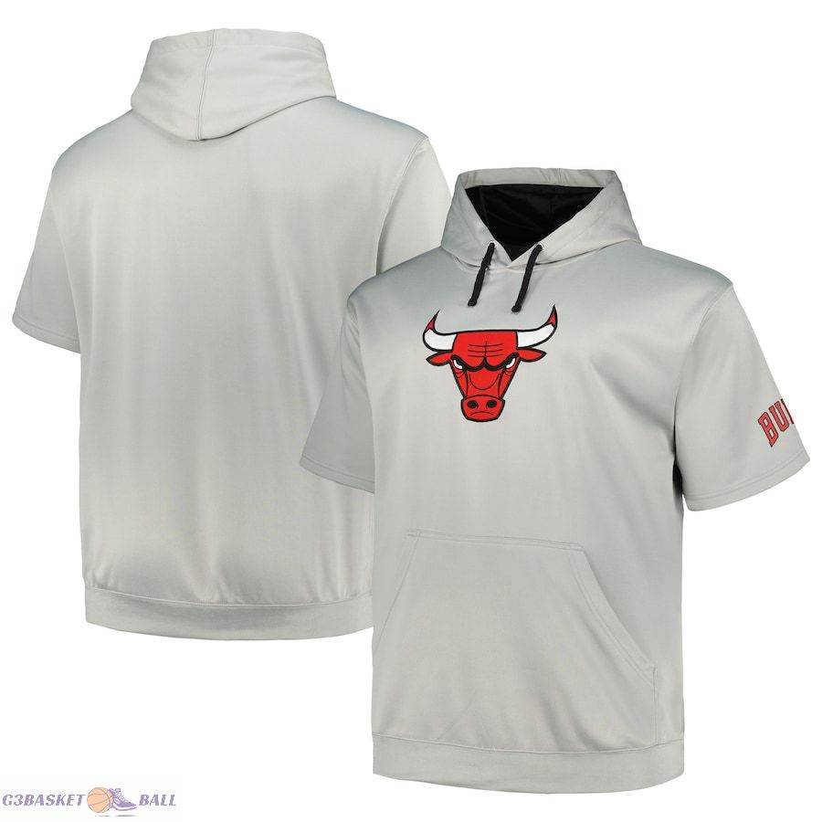 Men's Chicago Bulls Fanatics Silver Big & Tall Logo Pullover Hoodie