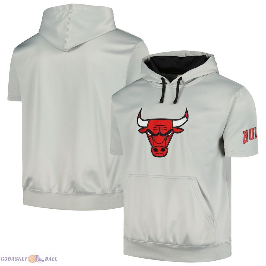 Men's Chicago Bulls Fanatics Silver/Black Short Sleeve Pullover Hoodie