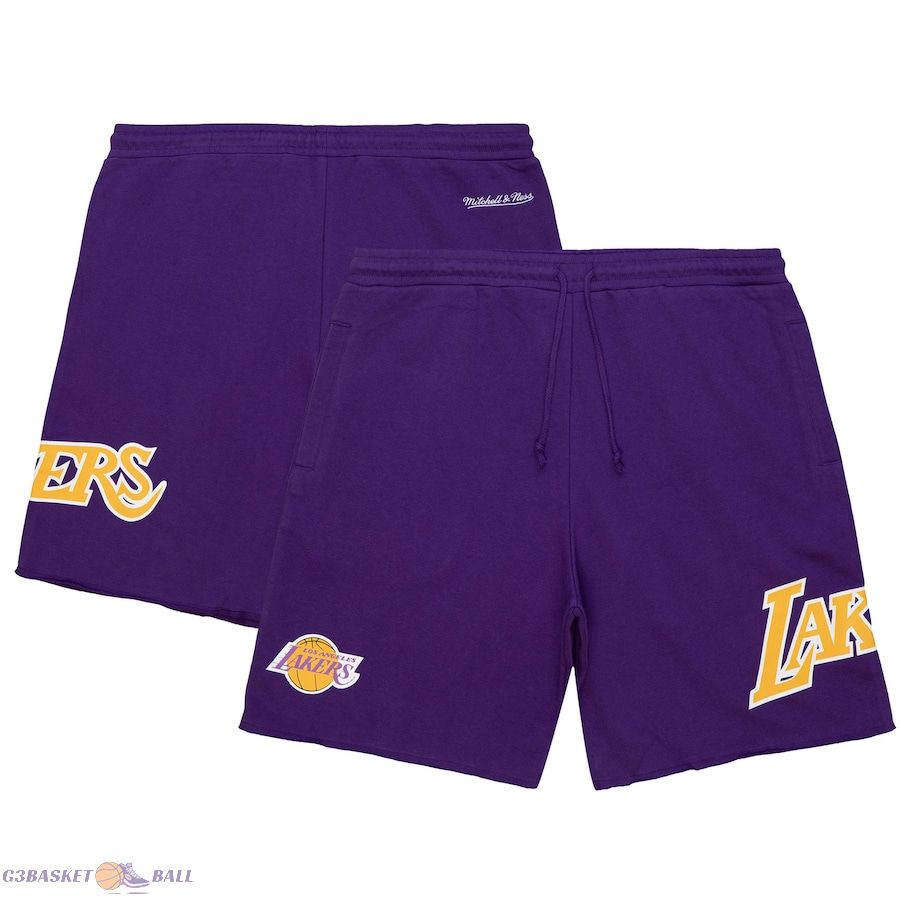 Men's Los Angeles Lakers Mitchell & Ness Purple Game Day Shorts