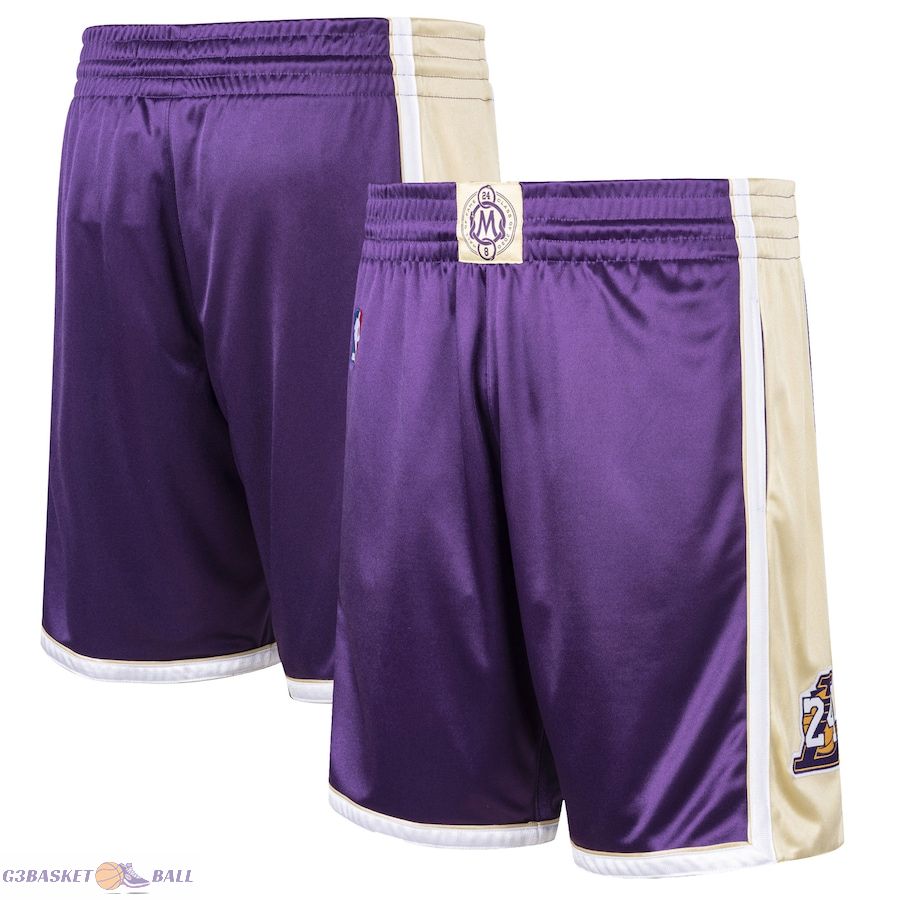 Men's Los Angeles Lakers Kobe Bryant Mitchell & Ness Purple Hall of Fame Class of 2020 Authentic Hardwood Classics Shorts