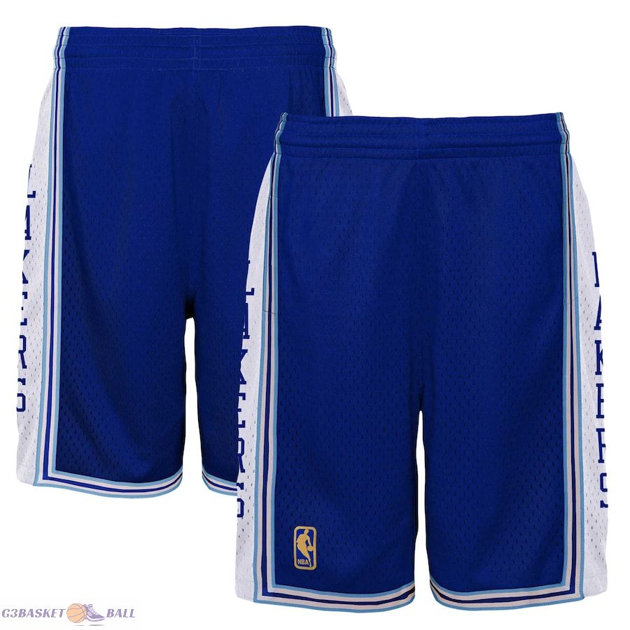 Youth Los Angeles Lakers Mitchell & Ness Royal Hardwood Classics Swingman Shorts