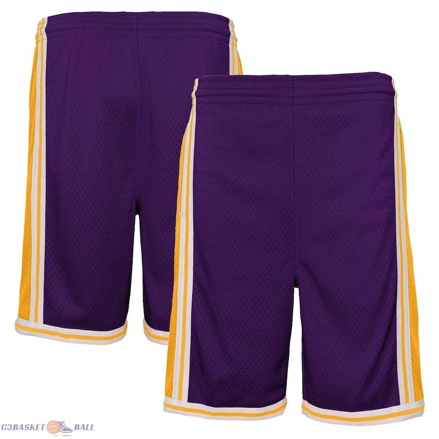 Youth Los Angeles Lakers Mitchell & Ness Purple Hardwood Classics Swingman Shorts