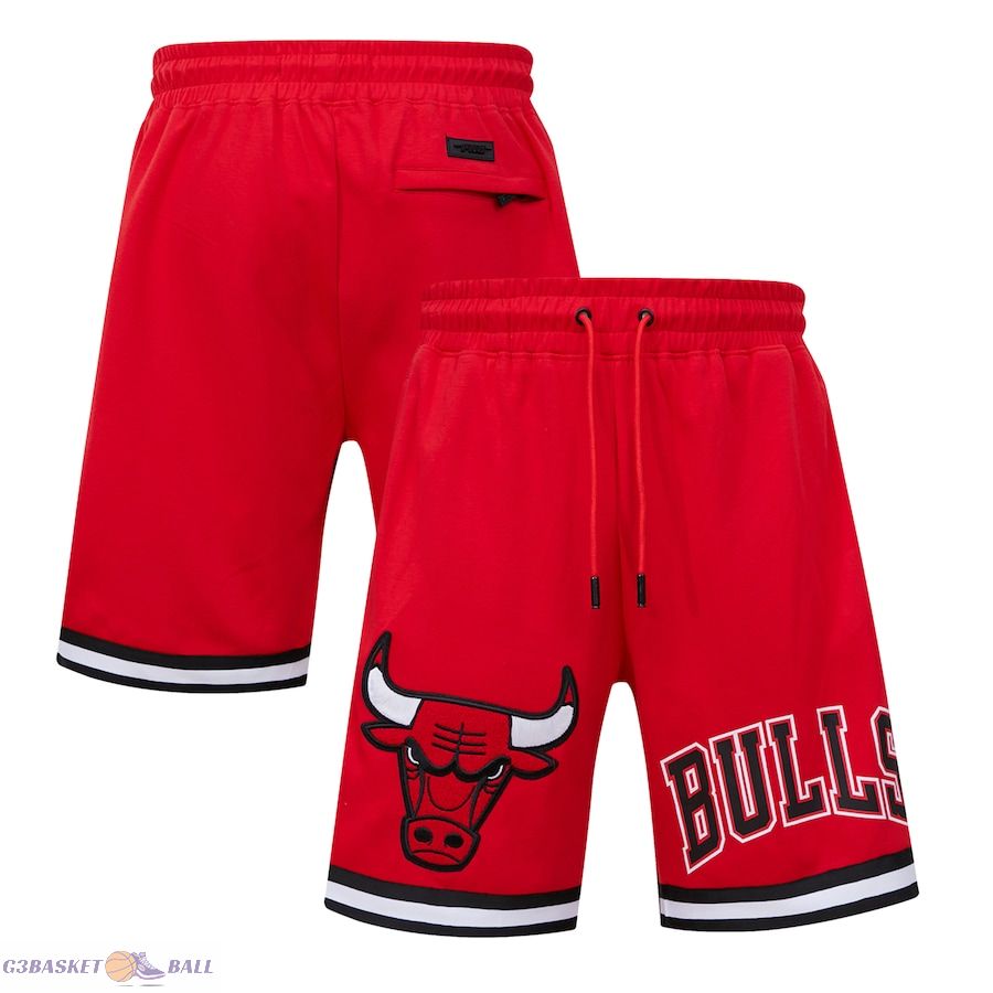 Men's Chicago Bulls Pro Standard Red Classic Chenille DK Shorts